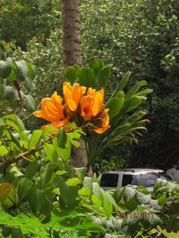 Picture 029